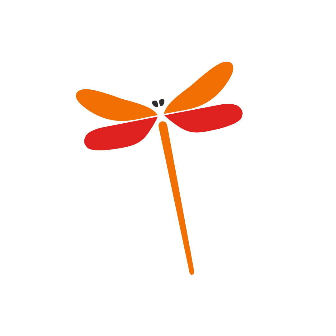 Agencia de Marketing Digital Studio Xpress